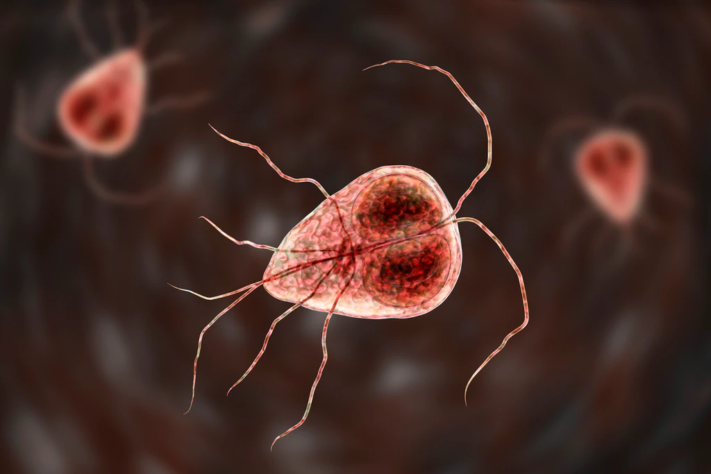Parasites: The Hidden Invaders Sabotaging Your Health